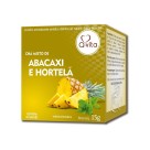 ABACAXI C/ HORTELÃ SACHE - Q-VITA