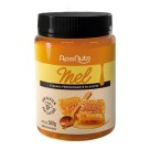 Mel Silvestre pote 500g – Apisnutri