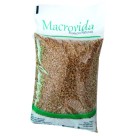TRIGO EM GRÃOS 1kg